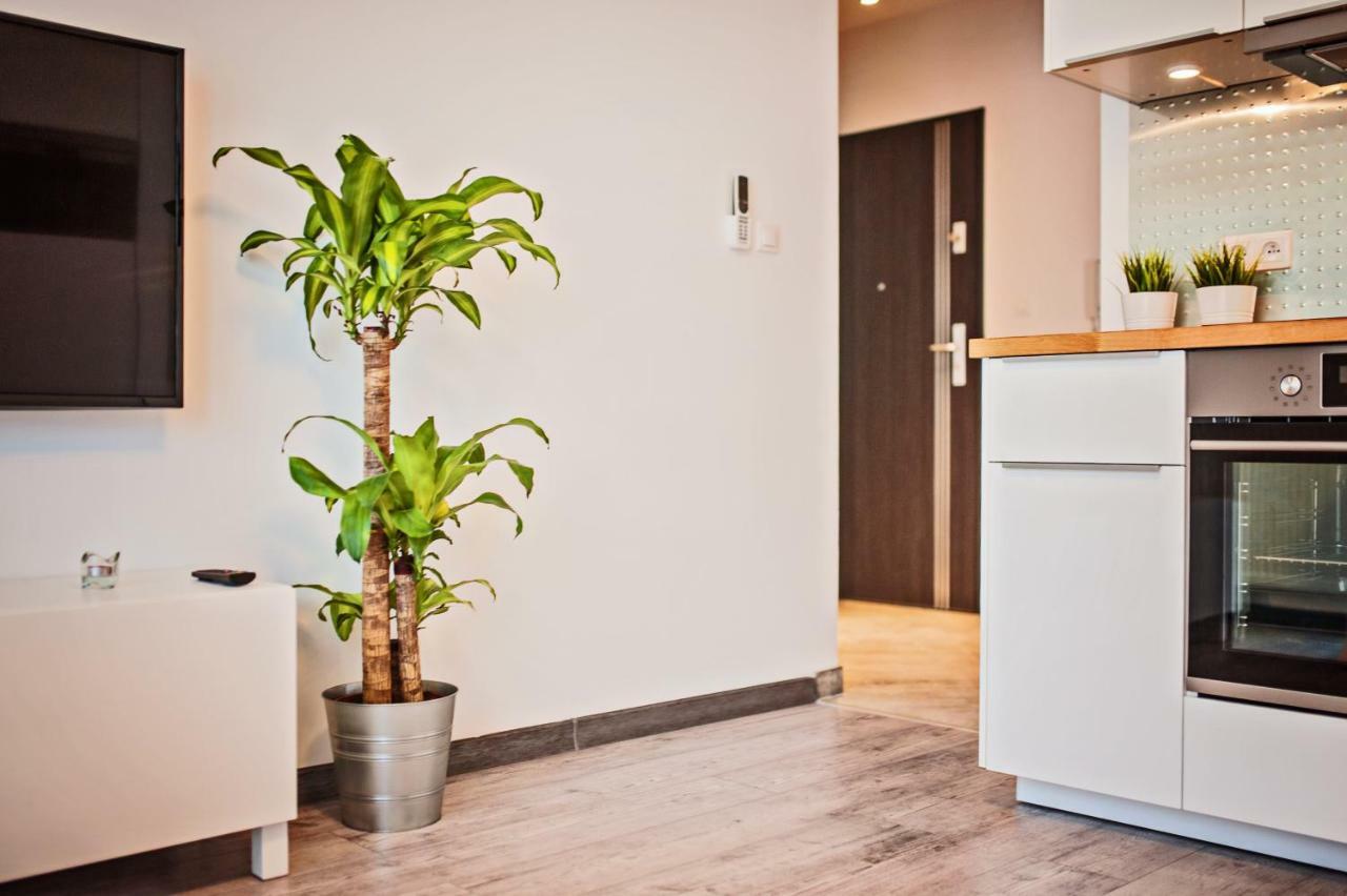 Good Time Apartments Strzelecka B Poznan Luaran gambar